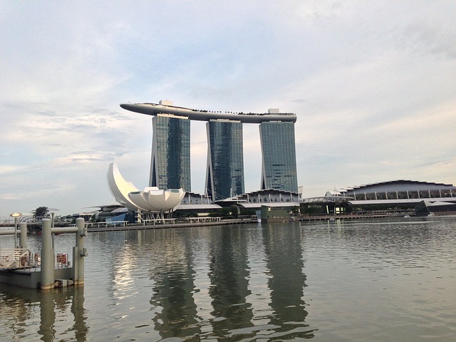 marina dhow