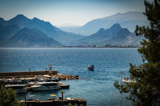 marina dhow