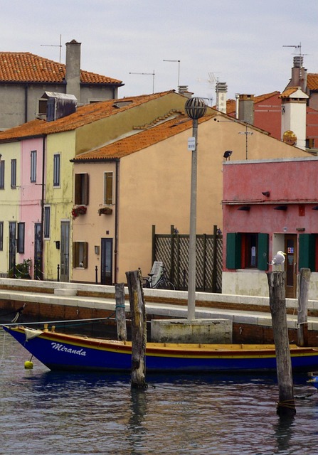 marina dhow