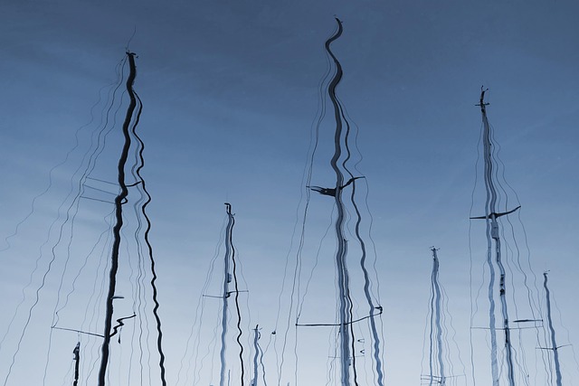 marina dhow