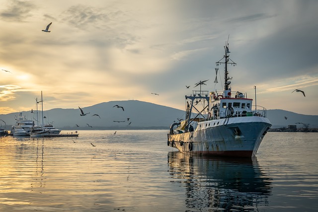 marina dhow