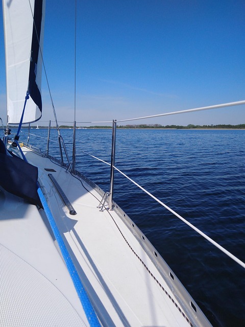marina dhow cruise