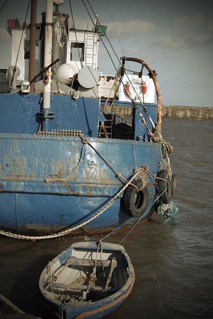 marina dhow cruise