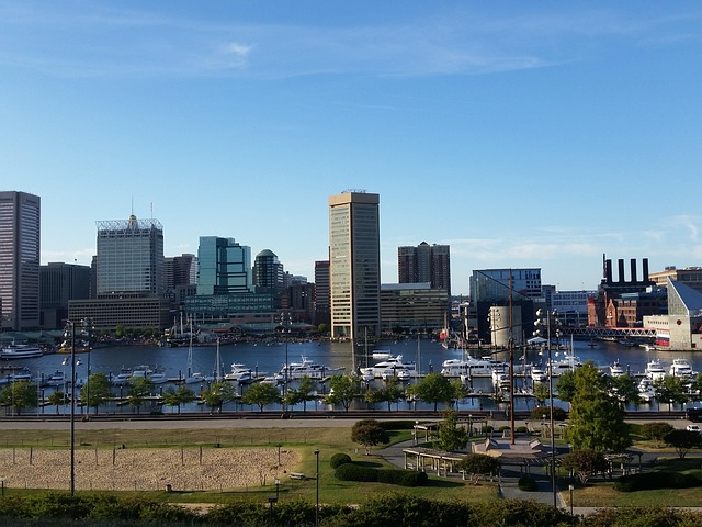 Marina Skyline Helicopter