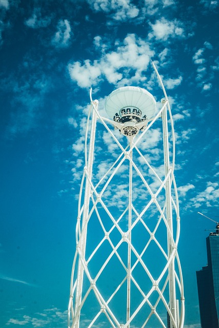 Marina Skyline Helicopter