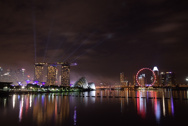 Marina Skyline Helicopter