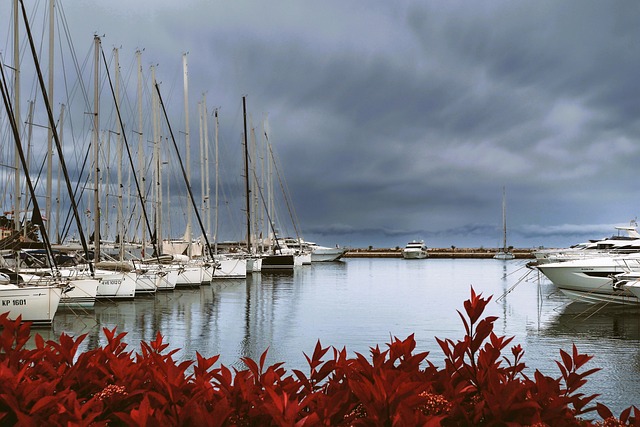 marina yacht