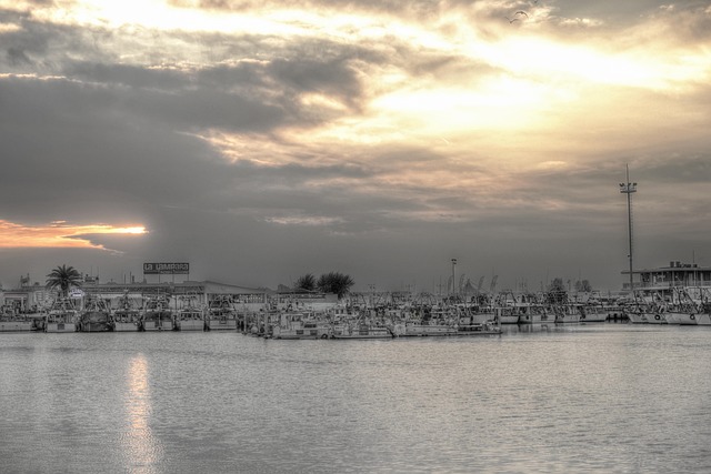 marina yacht rental
