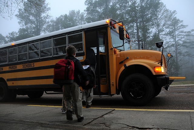 mini bus hire