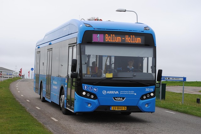 Mini Bus Rentals for Families in Dubai: Navigating Trends and Safety