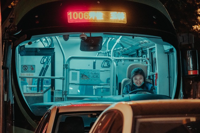 mini bus rental