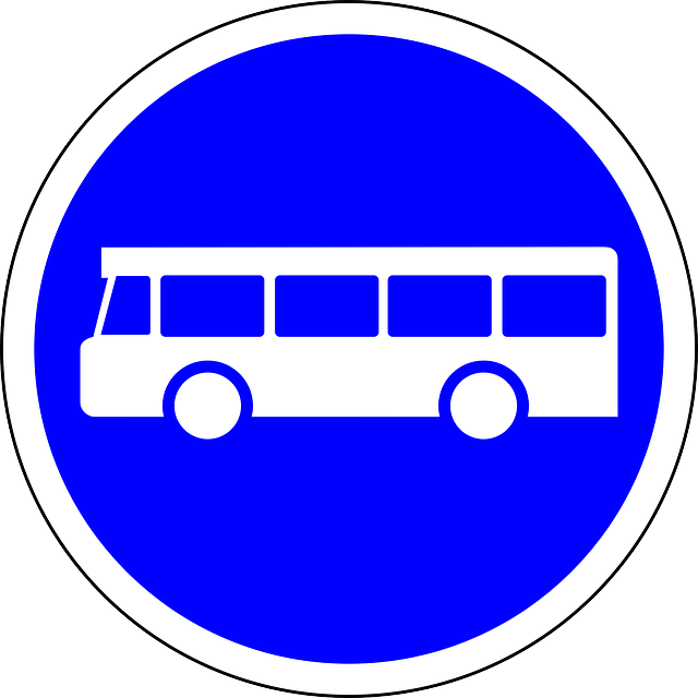 mini bus rental