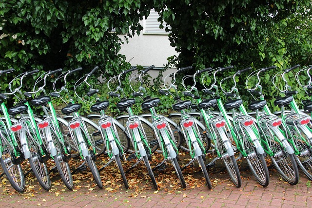 minibus-rental-640x480-78501219.jpeg