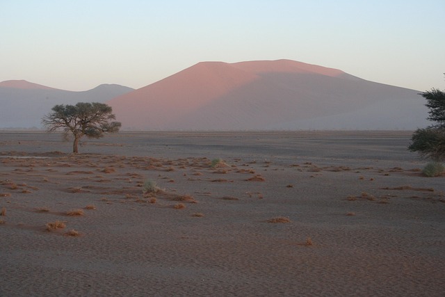 morning-desert-safari-640x480-41804334.jpeg