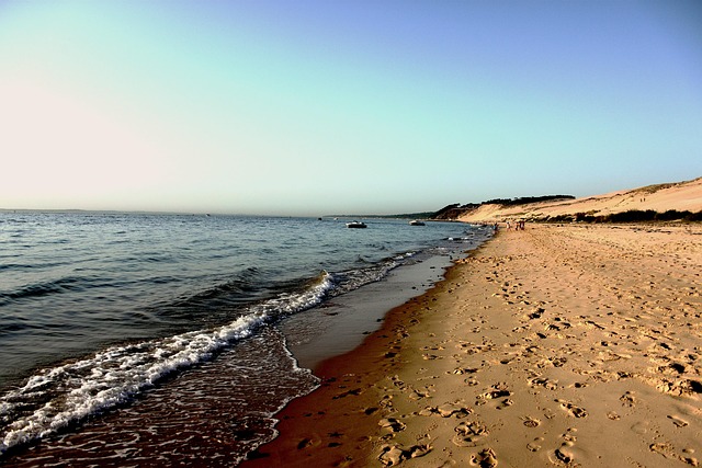 morning-dune-buggy-640x480-14956190.jpeg
