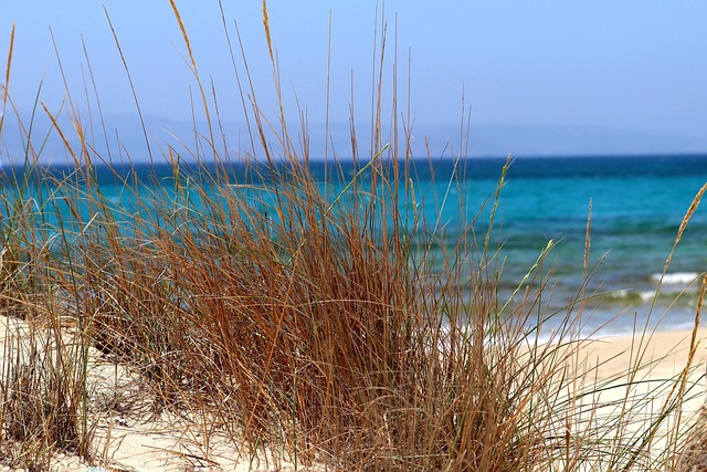 Morning Dune Buggy