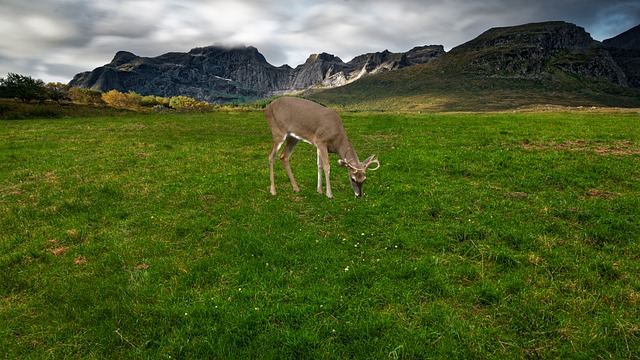 mountain tour