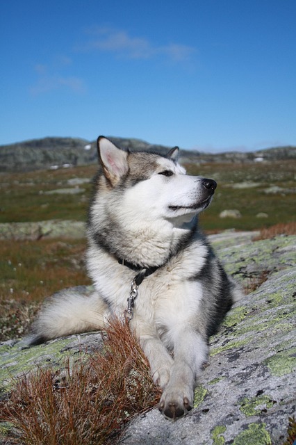 mountain tour