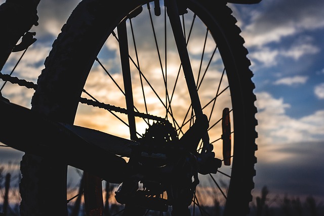 Hatta Mountain Tour: Dubai’s Off-Road Cycling Adventures Unveiled