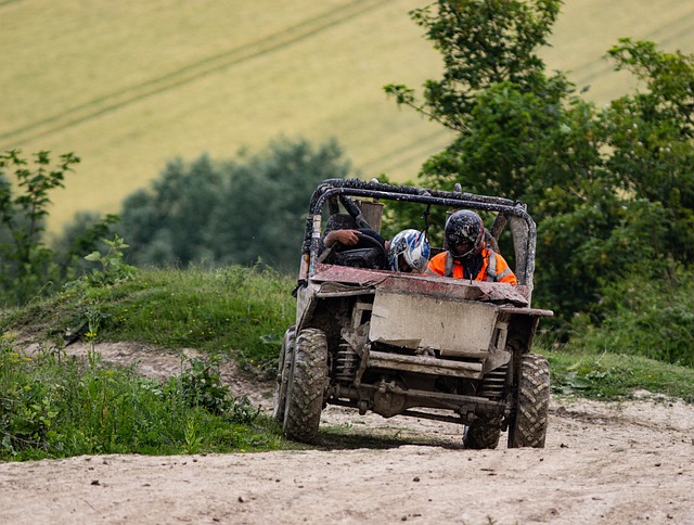 Off-Road Dune
