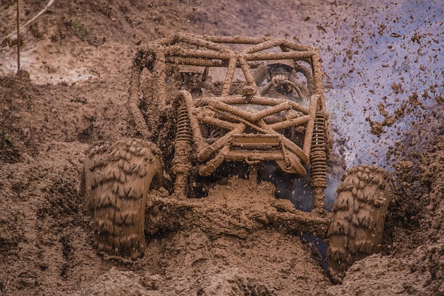 Off-Road Dune