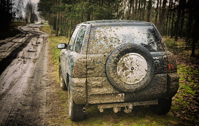 Off-Road Dune