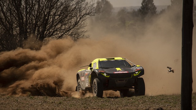 Off-Road Dune