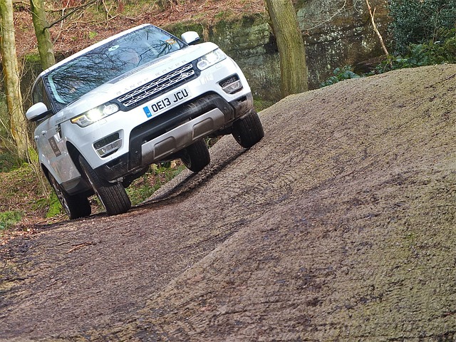 Off-Road Dune