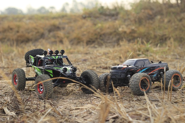 Off-Road Dune