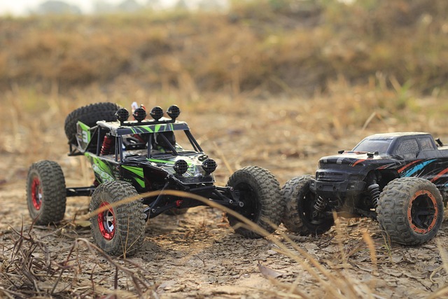 Off-Road Dune