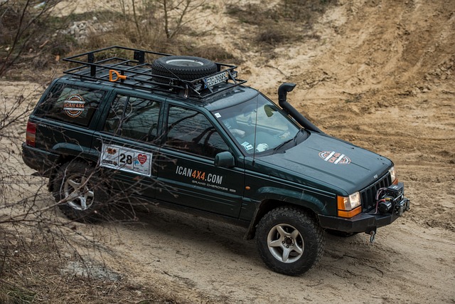 Off-Road Dune