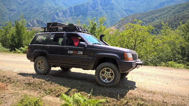 Off-Road Dune