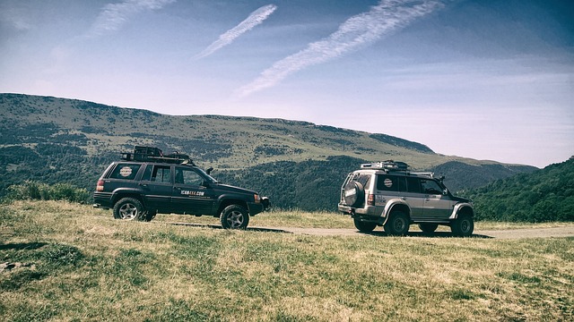 Off-Road Dune