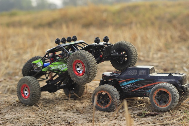 Off-Road Dune