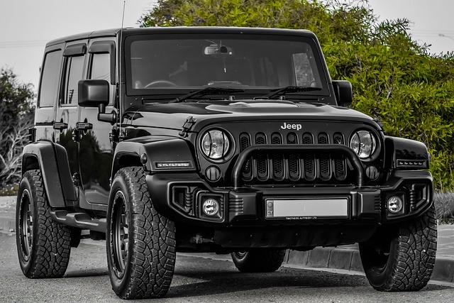 Off-Road Dune