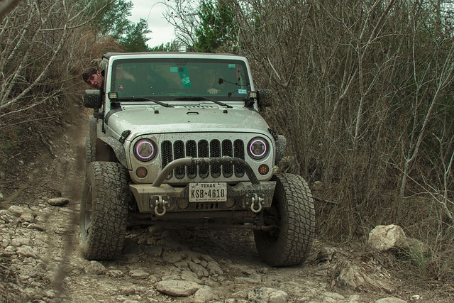 Off-Road Dune