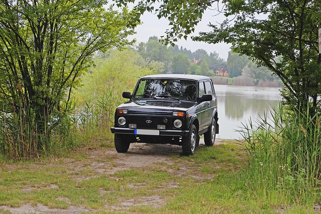 Off-Road Dune