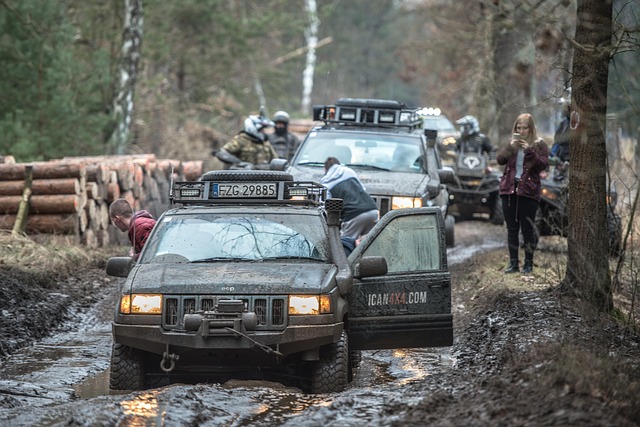 Off-Road Dune