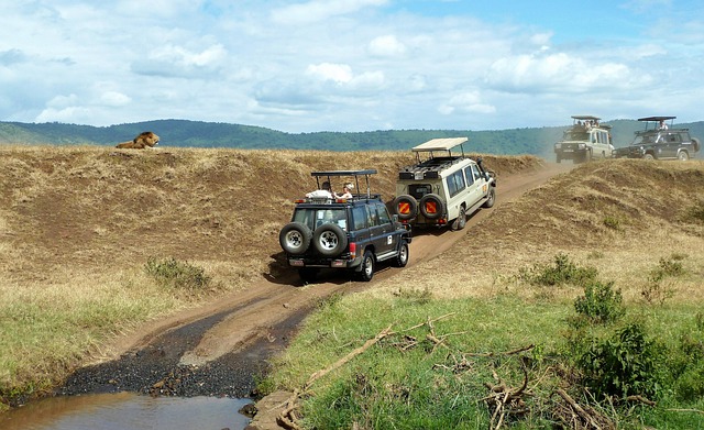 Off-Road Dune