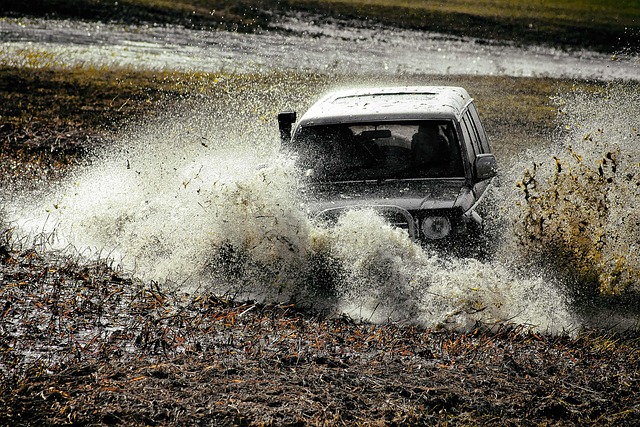 Off-Road Dune