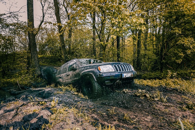 Off-Road Dune