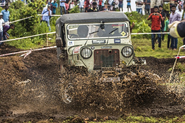 Off-Road Dune