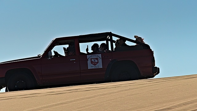 Off-Road Dune