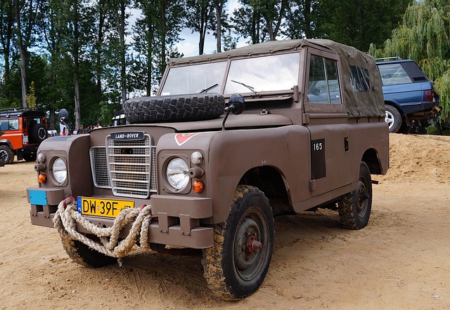 Off-Road Dune