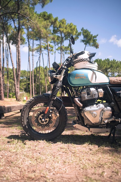 Off-Road Dune