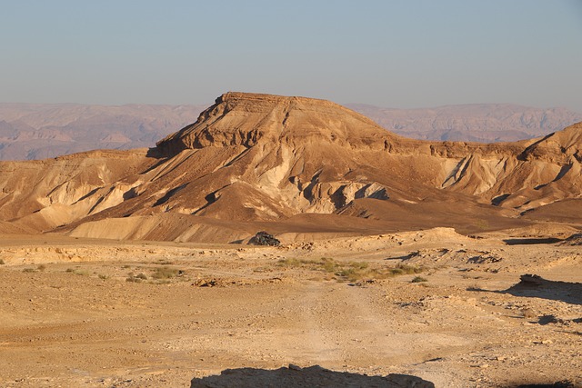 Off-Road Dune