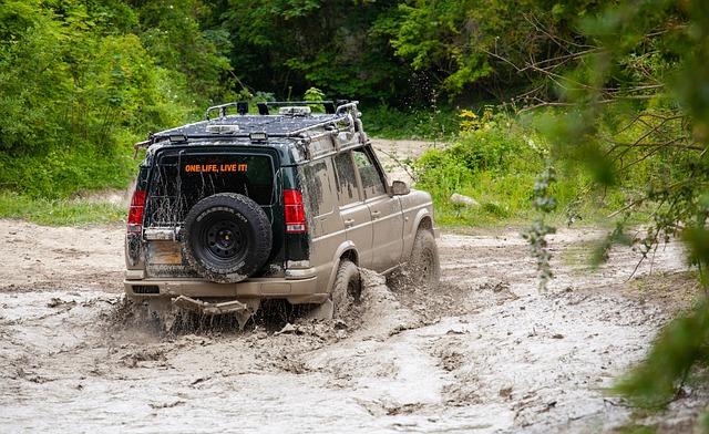 Off-Road Dune