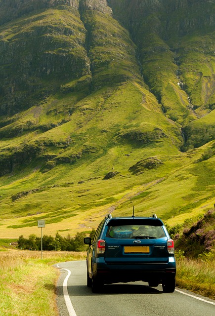 Off-Road Dune