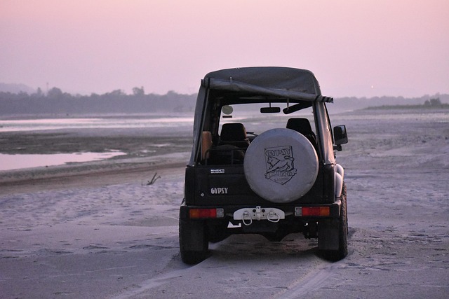 Off-Road Dune