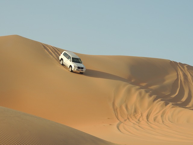 Off-Road Dune
